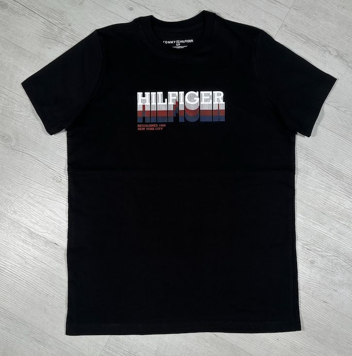 Camiseta Tommy Skyline - imagen 2